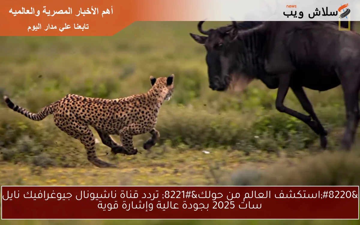 "استكشف العالم من حولك" تردد قناة ناشيونال جيوغرافيك نايل سات 2025 بجودة عالية وإشارة قوية 2 “استكشف العالم من حولك” تردد قناة ناشيونال جيوغرافيك نايل سات 2025 بجودة عالية وإشارة قوية