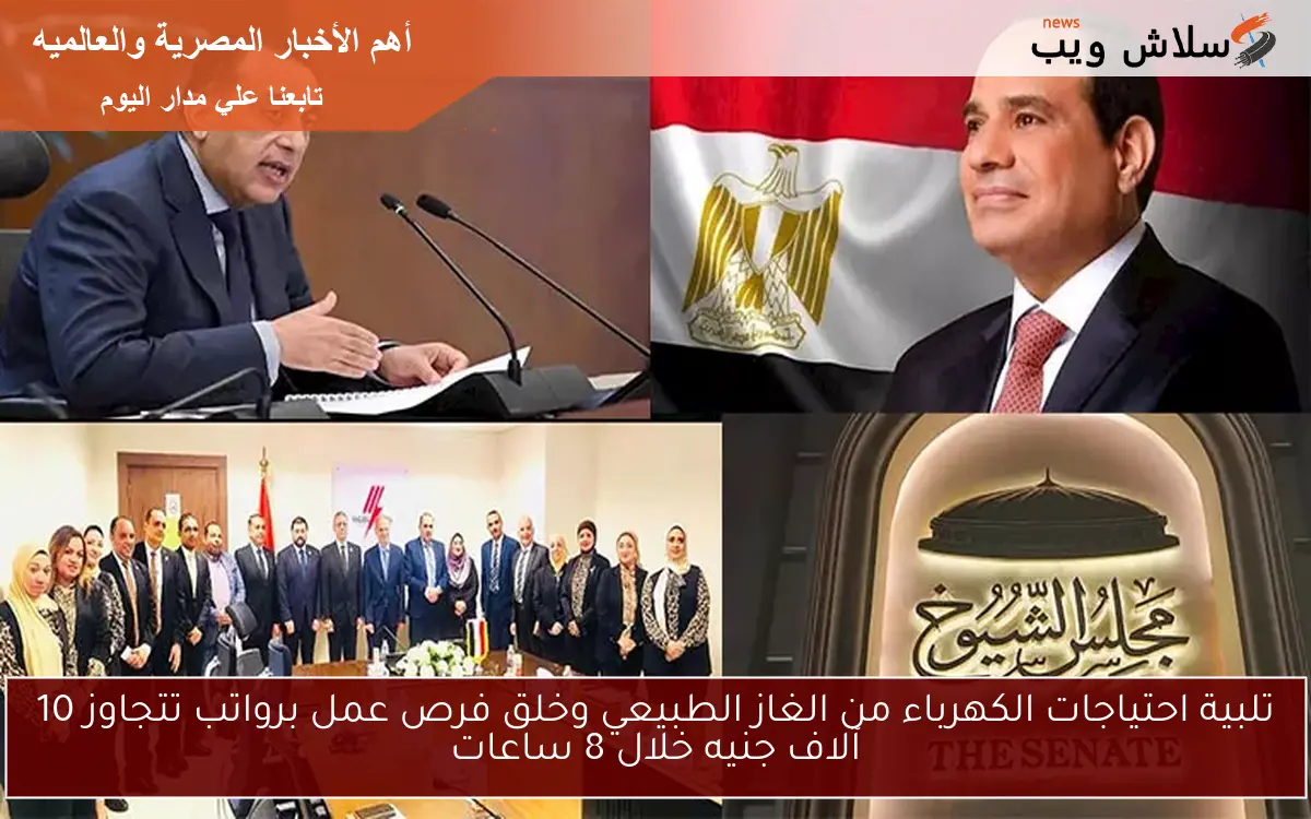 تلبية احتياجات الكهرباء من الغاز الطبيعي وخلق فرص عمل برواتب تتجاوز 10 آلاف جنيه خلال 8 ساعات 2 تلبية احتياجات الكهرباء من الغاز الطبيعي وخلق فرص عمل برواتب تتجاوز 10 آلاف جنيه خلال 8 ساعات