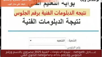 رابط نتيجة الدبلومات الفنية 2025 3
