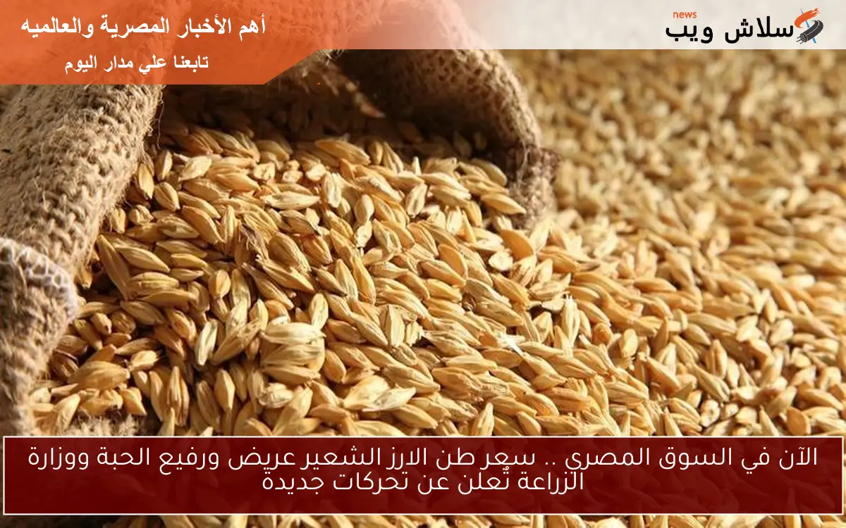 الآن في السوق المصري .. سعر طن الارز الشعير عريض ورفيع الحبة ووزارة الزراعة تٌعلن عن تحركات جديدة 2 الآن في السوق المصري .. سعر طن الارز الشعير عريض ورفيع الحبة ووزارة الزراعة تٌعلن عن تحركات جديدة