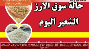 سعر الأرز الشعير اليوم 6