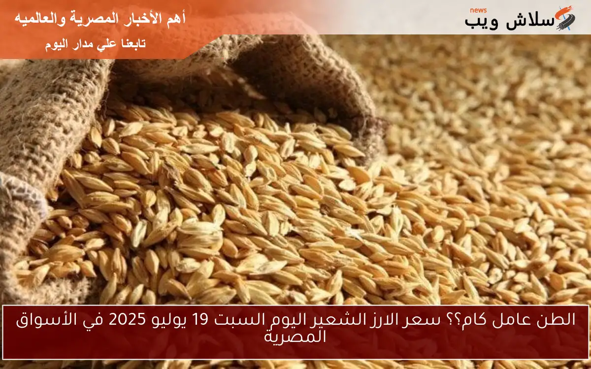 الطن عامل كام؟؟ سعر الارز الشعير اليوم السبت 19 يوليو 2025 في الأسواق المصرية 2 الطن عامل كام؟؟ سعر الارز الشعير اليوم السبت 19 يوليو 2025 في الأسواق المصرية