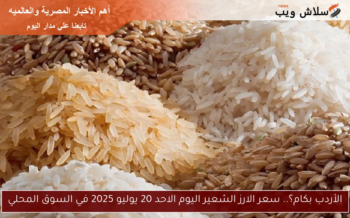 الأردب بكام؟.. سعر الارز الشعير اليوم الاحد 20 يوليو 2025 في السوق المحلي 2 الأردب بكام؟.. سعر الارز الشعير اليوم الاحد 20 يوليو 2025 في السوق المحلي
