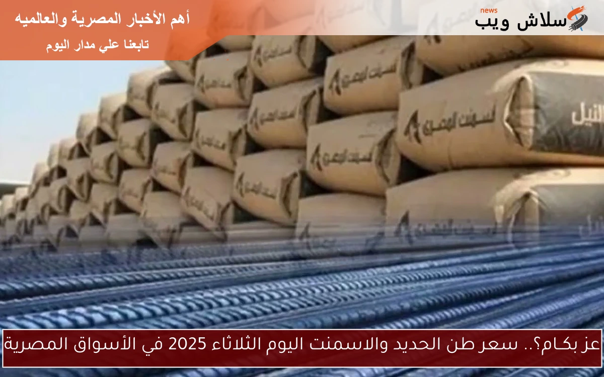 عز بكــام؟.. سعر طن الحديد والاسمنت اليوم الثلاثاء 2025 في الأسواق المصرية