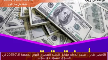 سعر الدولار مقابل الجنيه المصري اليوم 1