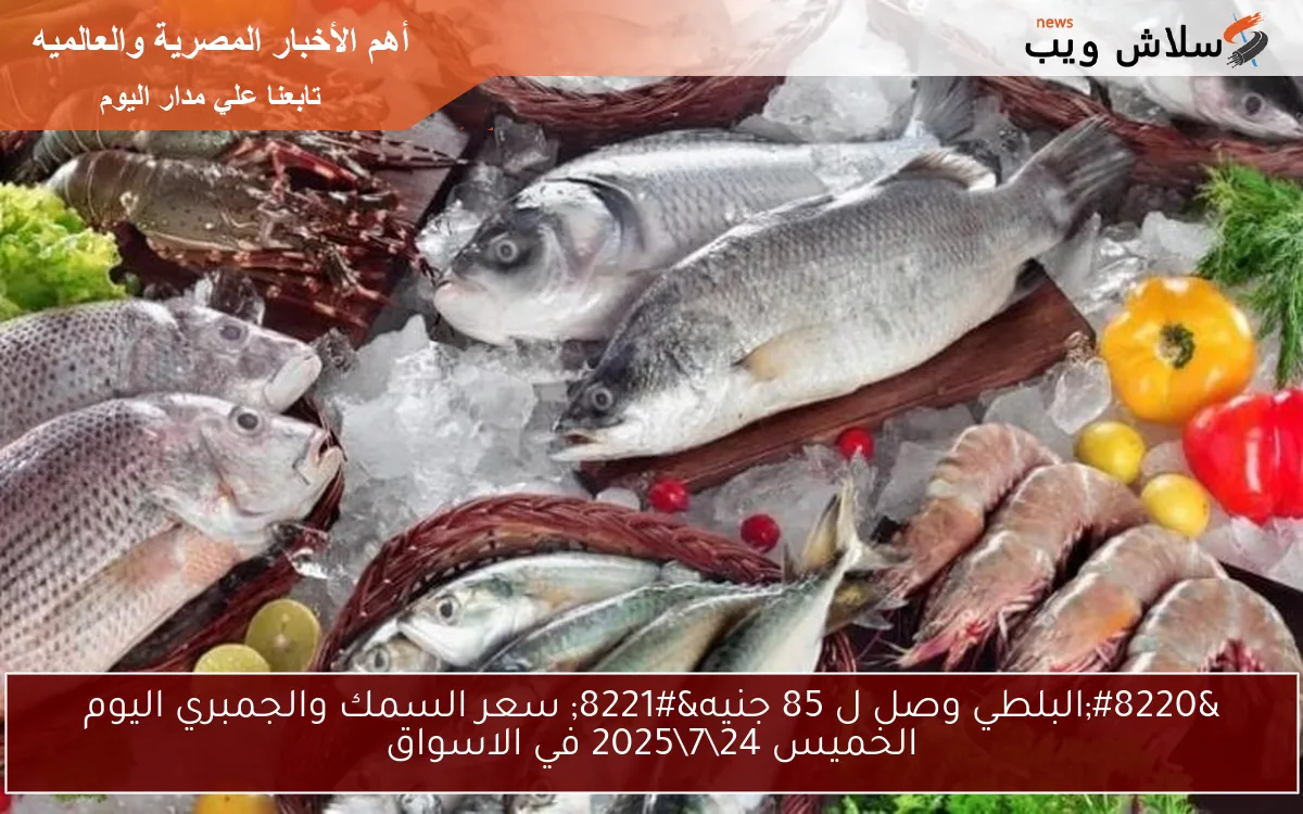 "البلطي وصل ل 85 جنيه" سعر السمك والجمبري اليوم الخميس 2472025 في الاسواق 2 “البلطي وصل ل 85 جنيه” سعر السمك والجمبري اليوم الخميس 24\7\2025 في الاسواق