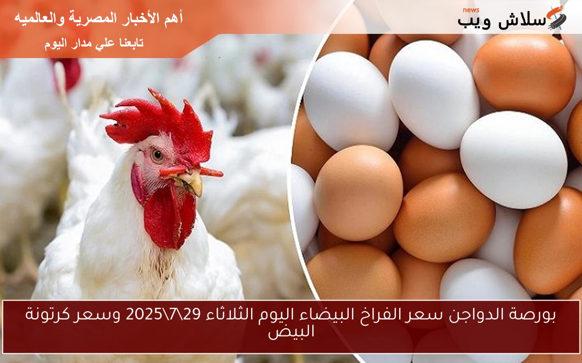 بورصة الدواجن سعر الفراخ البيضاء اليوم الثلاثاء 2972025 وسعر كرتونة البيض 2 بورصة الدواجن سعر الفراخ البيضاء اليوم الثلاثاء 29\7\2025 وسعر كرتونة البيض