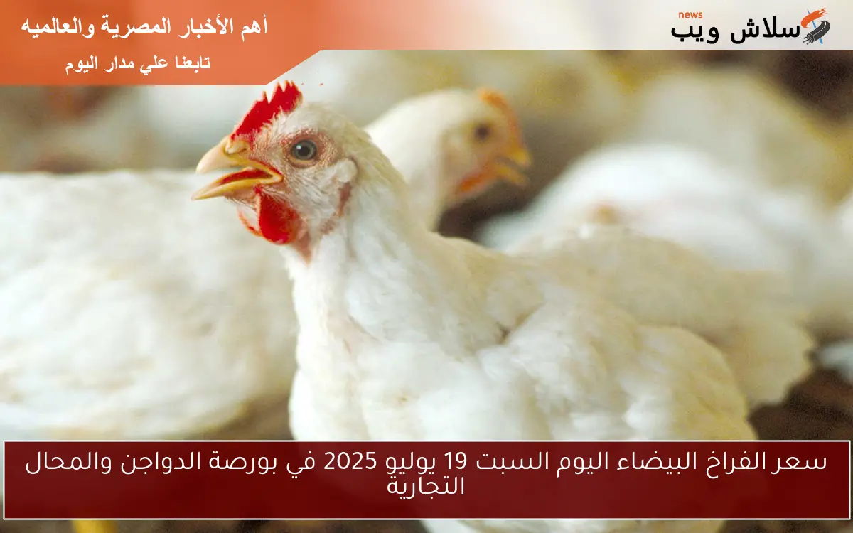 سعر الفراخ البيضاء اليوم السبت 19 يوليو 2025 في بورصة الدواجن والمحال التجارية 2 سعر الفراخ البيضاء اليوم السبت 19 يوليو 2025 في بورصة الدواجن والمحال التجارية