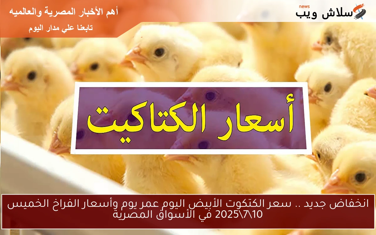 انخفاض جديد .. سعر الكتكوت الأبيض اليوم عمر يوم وأسعار الفراخ الخميس 1072025 في الأسواق المصرية 2 انخفاض جديد .. سعر الكتكوت الأبيض اليوم عمر يوم وأسعار الفراخ الخميس 10\7\2025 في الأسواق المصرية