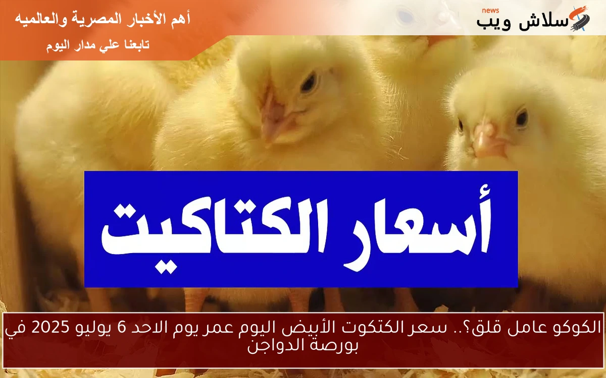 الكوكو عامل قلق؟.. سعر الكتكوت الأبيض اليوم عمر يوم الاحد 6 يوليو 2025 في بورصة الدواجن 2 الكوكو عامل قلق؟.. سعر الكتكوت الأبيض اليوم عمر يوم الاحد 6 يوليو 2025 في بورصة الدواجن