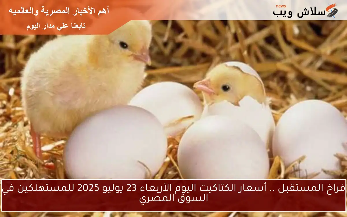 فراخ المستقبل .. أسعار الكتاكيت اليوم الأربعاء 23 يوليو 2025 للمستهلكين في السوق المصري 2 فراخ المستقبل .. أسعار الكتاكيت اليوم الأربعاء 23 يوليو 2025 للمستهلكين في السوق المصري
