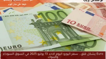 سعر اليورو اليوم