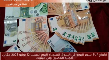 سعر اليورو في السوق السوداء اليوم 10
