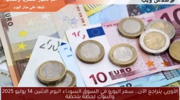 سعر اليورو في السوق السوداء اليوم 12