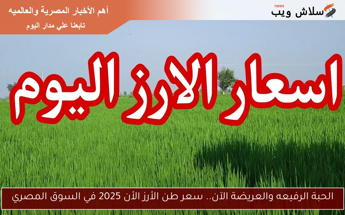 الحبة الرفيعه والعريضة الآن.. سعر طن الأرز الأن 2025 في السوق المصري 2 الحبة الرفيعه والعريضة الآن.. سعر طن الأرز الأن 2025 في السوق المصري