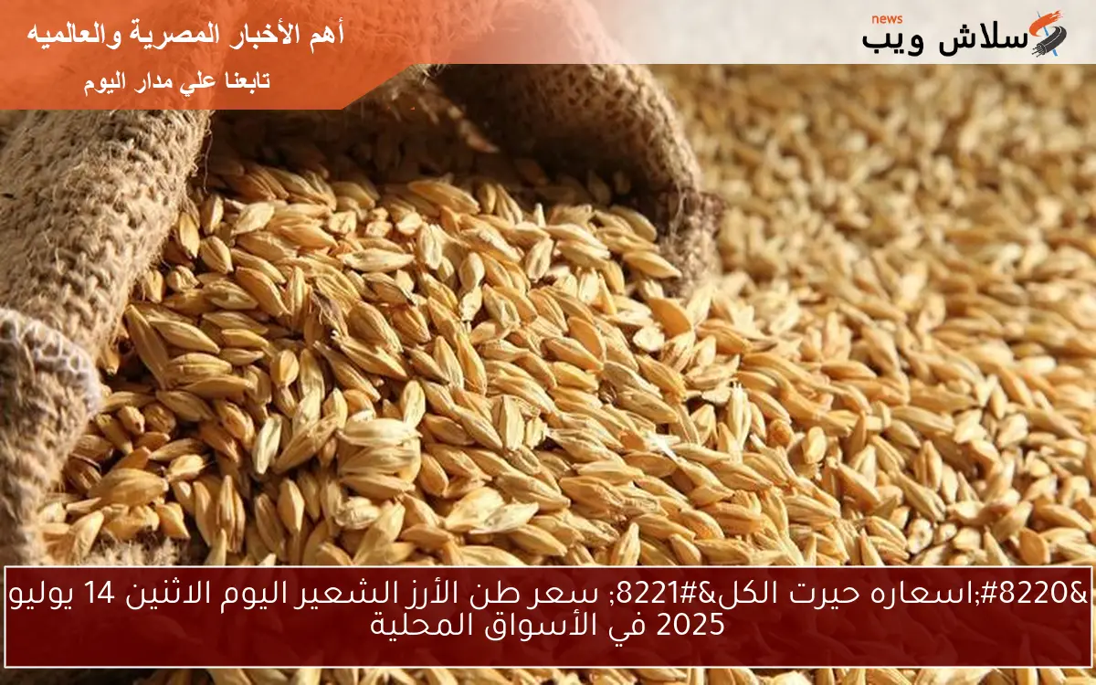 "اسعاره حيرت الكل" سعر طن الأرز الشعير اليوم الاثنين 14 يوليو 2025 في الأسواق المحلية 2 “اسعاره حيرت الكل” سعر طن الأرز الشعير اليوم الاثنين 14 يوليو 2025 في الأسواق المحلية