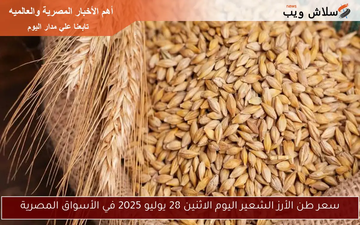 سعر طن الأرز الشعير اليوم الاثنين 28 يوليو 2025 في الأسواق المصرية 2 سعر طن الأرز الشعير اليوم الاثنين 28 يوليو 2025 في الأسواق المصرية