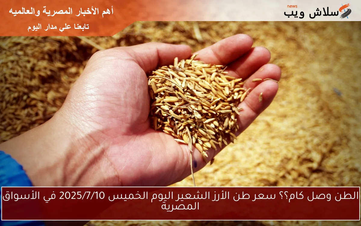 الطن وصل كام؟؟ سعر طن الأرز الشعير اليوم الخميس 2025/7/10 في الأسواق المصرية 2 الطن وصل كام؟؟ سعر طن الأرز الشعير اليوم الخميس 2025/7/10 في الأسواق المصرية