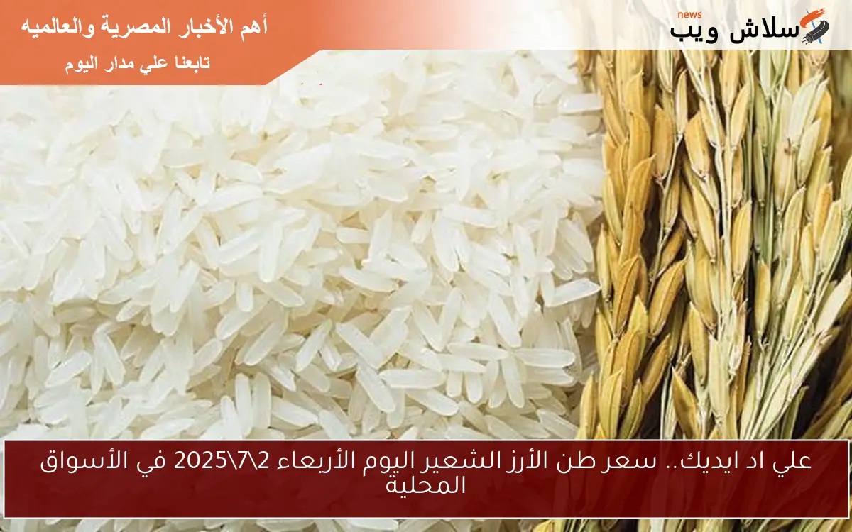 علي اد ايديك.. سعر طن الأرز الشعير اليوم الأربعاء 2\7\2025 في الأسواق المحلية