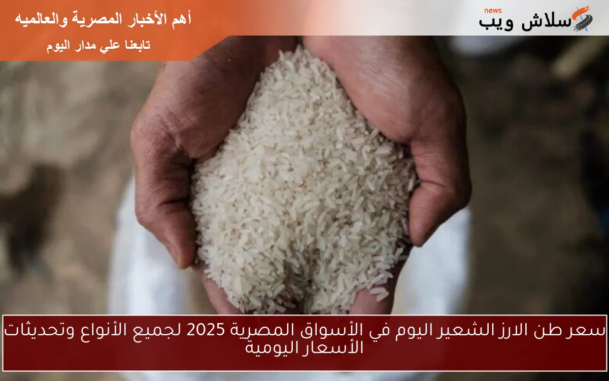 سعر طن الارز الشعير اليوم في الأسواق المصرية 2025 لجميع الأنواع وتحديثات الأسعار اليومية 2 سعر طن الارز الشعير اليوم في الأسواق المصرية 2025 لجميع الأنواع وتحديثات الأسعار اليومية