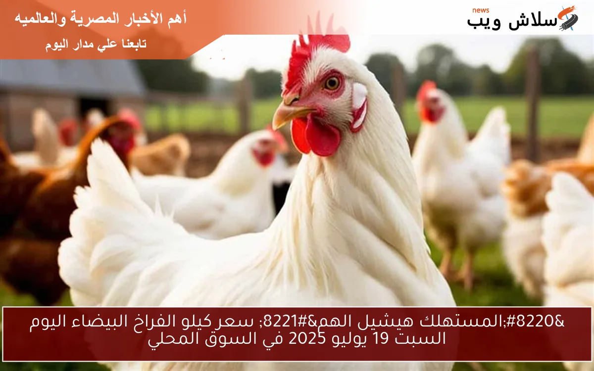 "المستهلك هيشيل الهم" سعر كيلو الفراخ البيضاء اليوم السبت 19 يوليو 2025 في السوق المحلي 2 “المستهلك هيشيل الهم” سعر كيلو الفراخ البيضاء اليوم السبت 19 يوليو 2025 في السوق المحلي