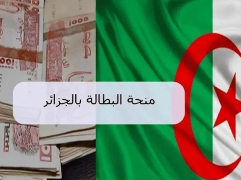 حدث بياناتك .. طريقة تجديد منحة البطالة في الجزائر لعام 2025 إلكترونيًا عبر موقع الوكالة الوطنية للتشغيل 2 حدث بياناتك .. طريقة تجديد منحة البطالة في الجزائر لعام 2025 إلكترونيًا عبر موقع الوكالة الوطنية للتشغيل