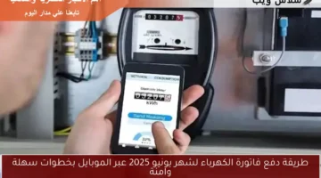 طريقة دفع فاتورة الكهرباء لشهر يونيو 2025 عبر الموبايل بخطوات