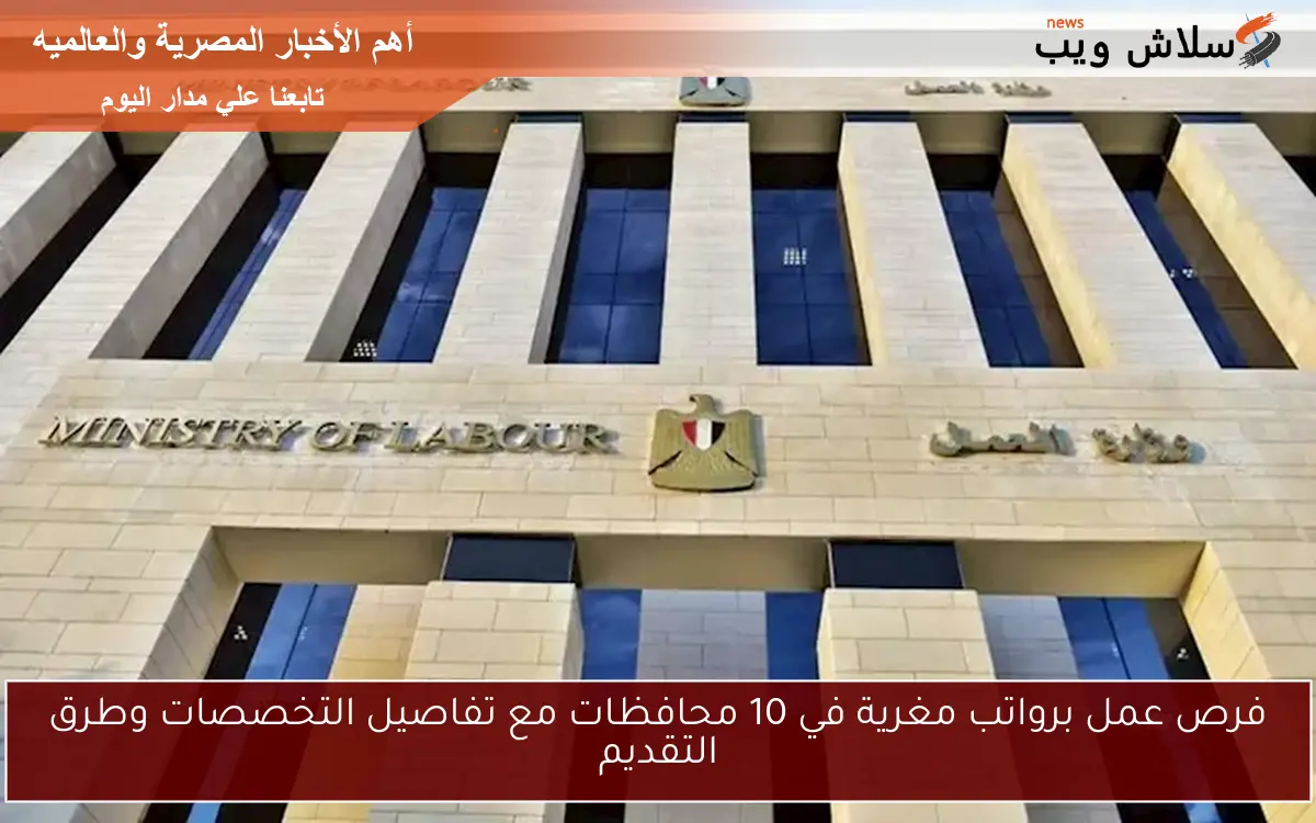فرص عمل برواتب مغرية في 10 محافظات مع تفاصيل التخصصات وطرق التقديم 2 فرص عمل برواتب مغرية في 10 محافظات مع تفاصيل التخصصات وطرق التقديم