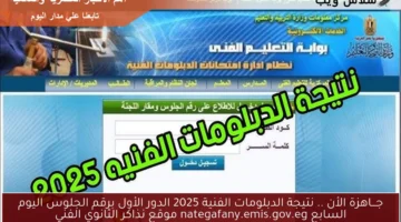 نتيجة الدبلومات الفنية 2025 الدور الأول 5