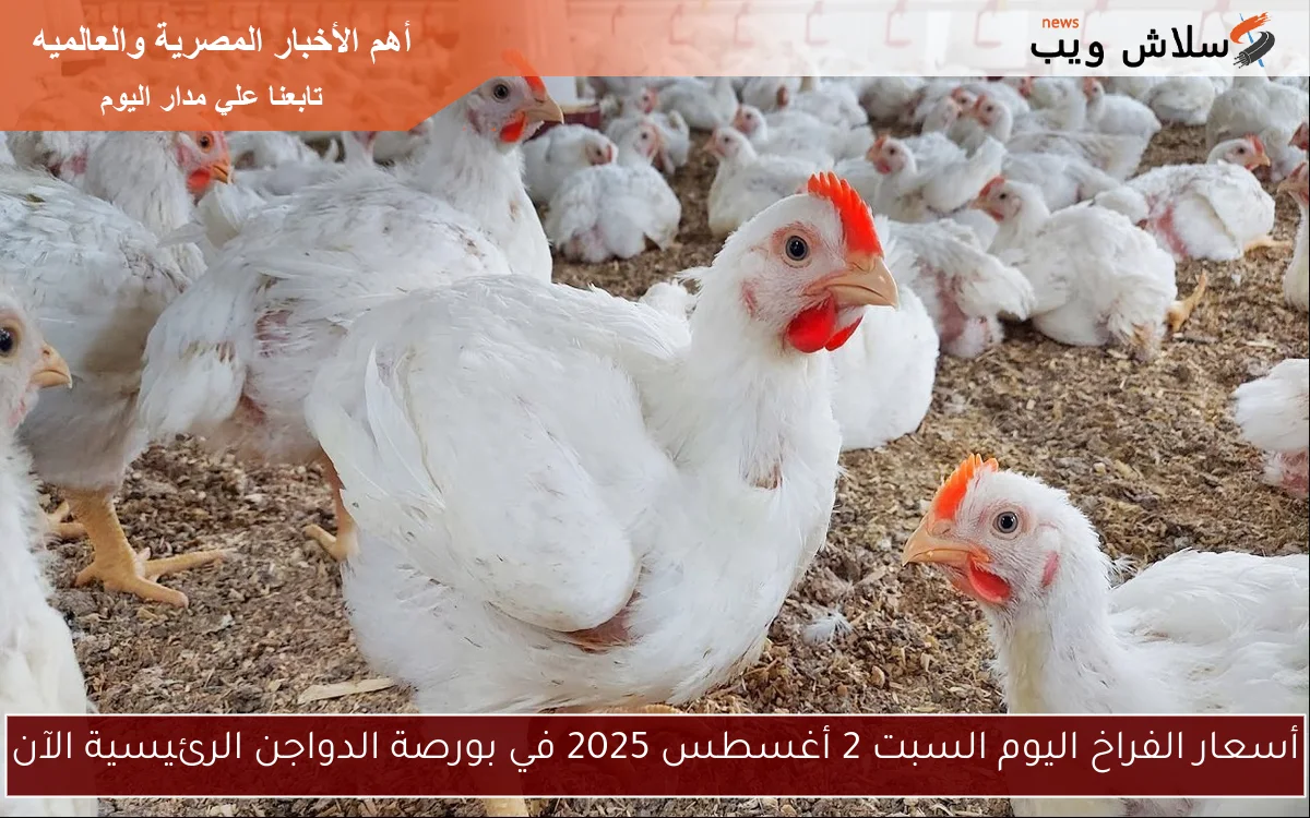 أسعار الفراخ اليوم السبت 2 أغسطس 2025 في بورصة الدواجن الرئيسية الآن 2 أسعار الفراخ اليوم السبت 2 أغسطس 2025 في بورصة الدواجن الرئيسية الآن