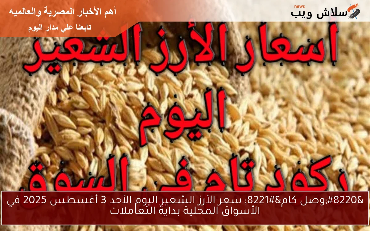 "وصل كام" سعر الأرز الشعير اليوم الأحد 3 أغسطس 2025 في الأسواق المحلية بداية التعاملات 2 “وصل كام” سعر الأرز الشعير اليوم الأحد 3 أغسطس 2025 في الأسواق المحلية بداية التعاملات