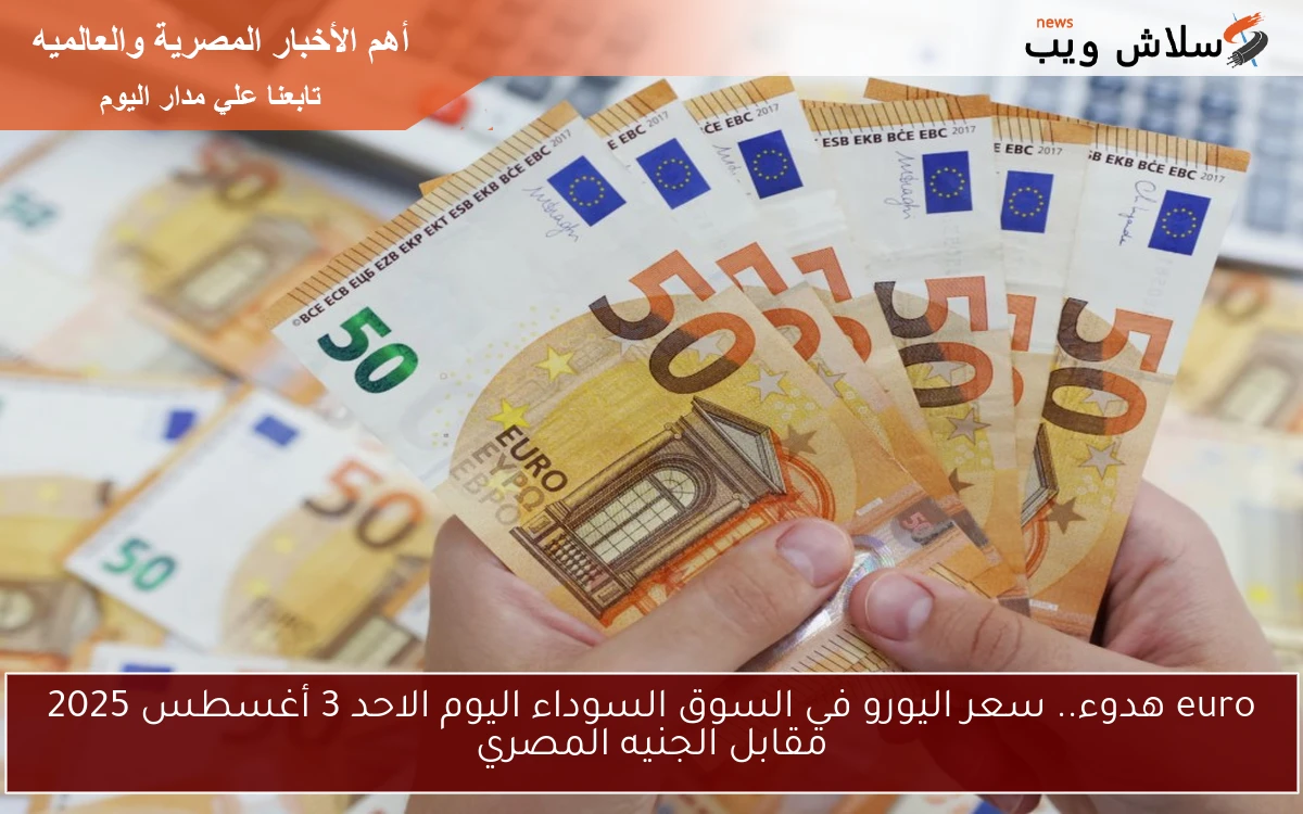 euro هدوء.. سعر اليورو في السوق السوداء اليوم الاحد 3 أغسطس 2025 مقابل الجنيه المصري 2 euro هدوء.. سعر اليورو في السوق السوداء اليوم الاحد 3 أغسطس 2025 مقابل الجنيه المصري